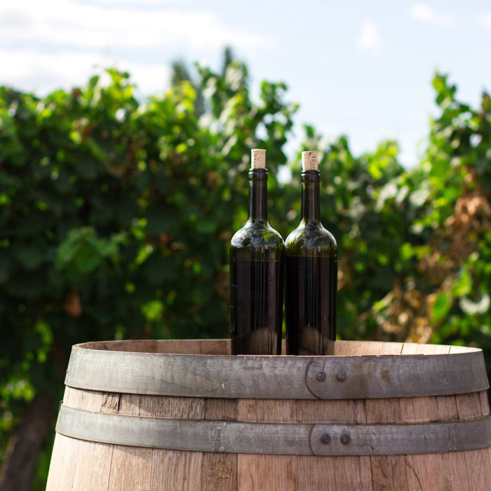 Kosher Wines 101: Understanding Varieties, Vineyards, and Vintages - All Kosher Wines